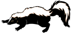 Skunk