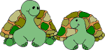 Turtles