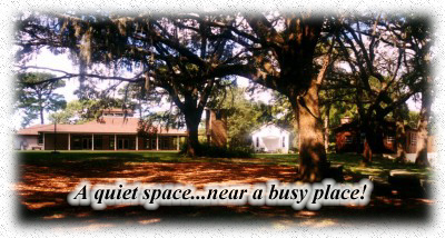 A Quiet Space, Near a Busy Place
