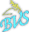 BVS Logo
