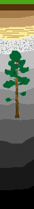 Column