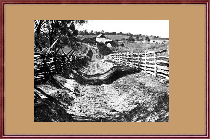SUNKEN ROAD