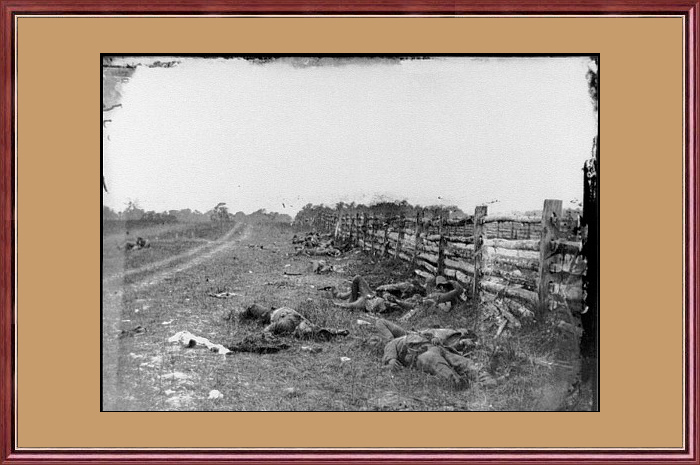 DEAD NEXT TO HAGERSTOWN ROAD