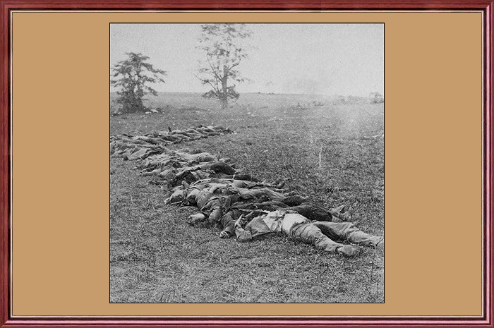 Antietam : DEAD IN OPEN FIELDS