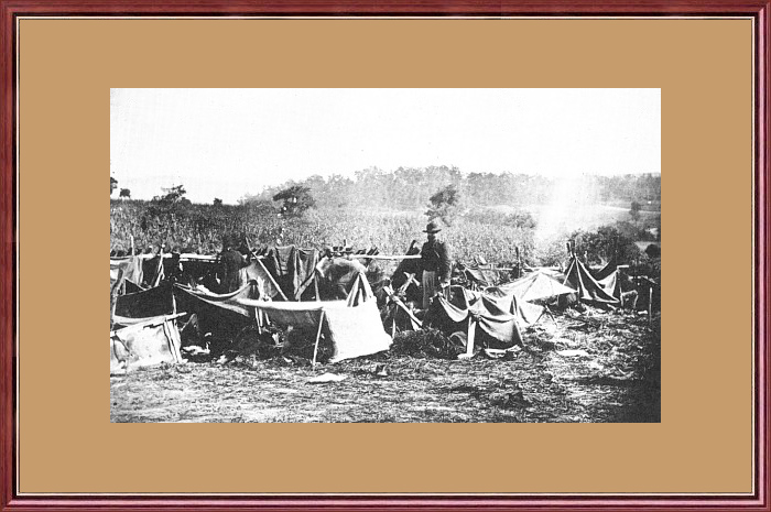 Antietam : HOSPITAL TENTS