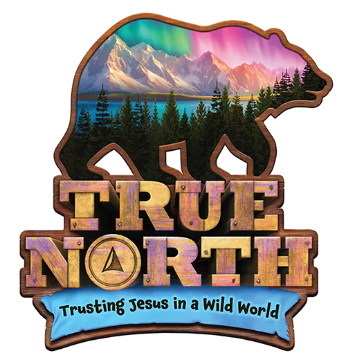 VBS Theme