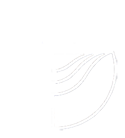 COB Logo