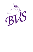 BVS Logo