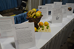 2015 AC Tampa - Exhibit Hall Display