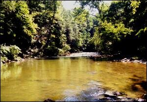 Wissahickon Creek